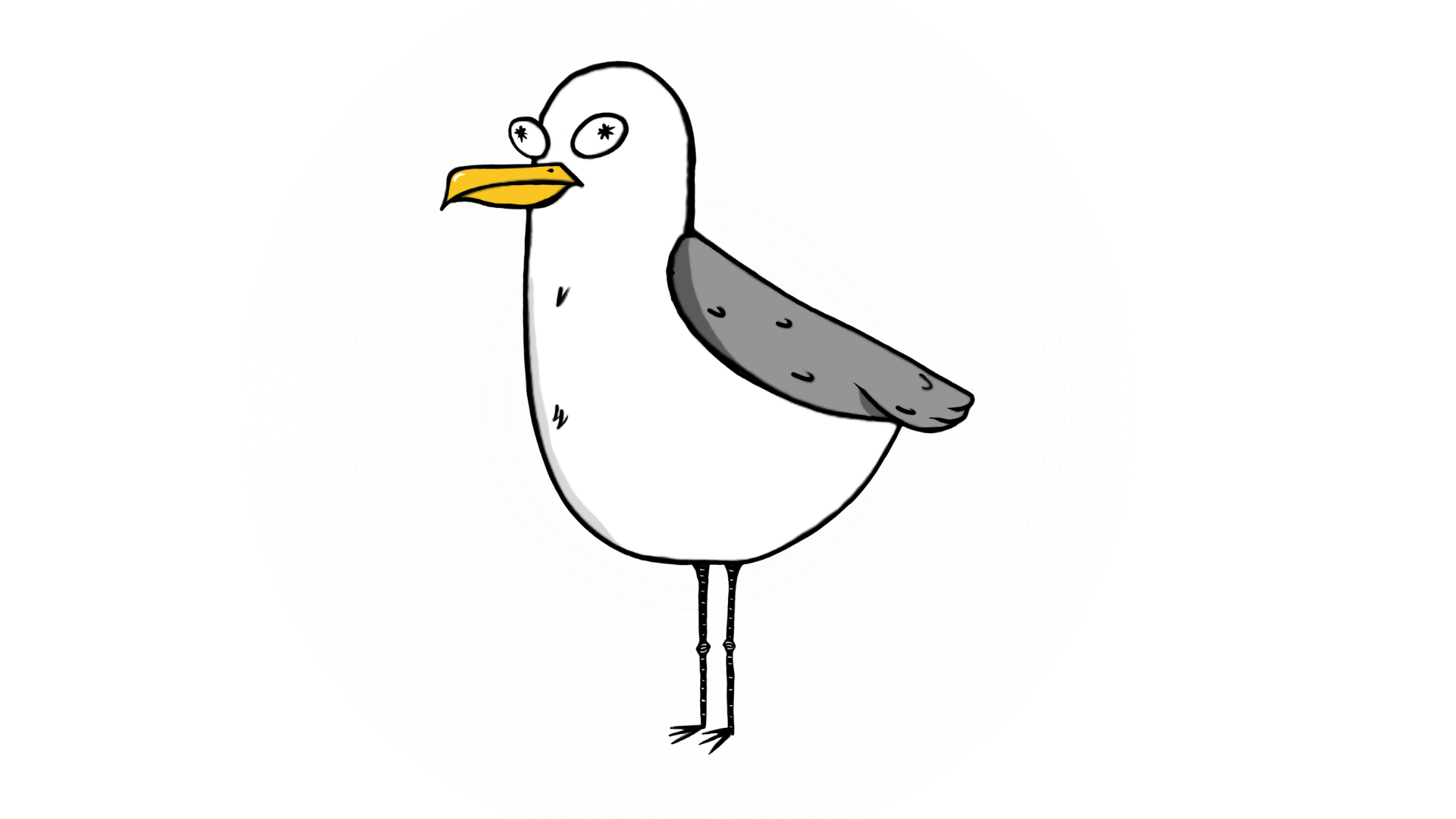 Dominic the seagull looking goofy